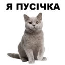 ☺️ emoji Кошенята @ukrainian_stickers Telegram sticker 18 of 18