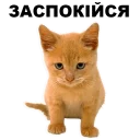 🙄 emoji Кошенята @ukrainian_stickers Telegram sticker 7 of 18