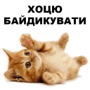 😉 emoji Кошенята @ukrainian_stickers Telegram sticker 15 of 18