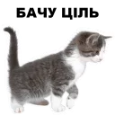 😠 emoji Кошенята @ukrainian_stickers Telegram sticker 3 of 18