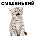 😁 emoji Кошенята @ukrainian_stickers Telegram sticker 4 of 18