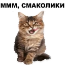 😋 emoji Кошенята @ukrainian_stickers Telegram sticker 10 of 18