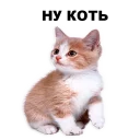 ☺️ emoji Кошенята @ukrainian_stickers Telegram sticker 2 of 18