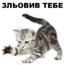 🙃 emoji Кошенята @ukrainian_stickers Telegram sticker 5 of 18