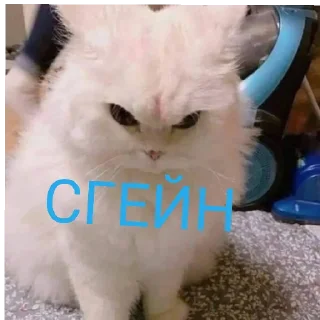 Sticker from Стики