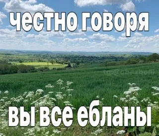 куку sticker 1
