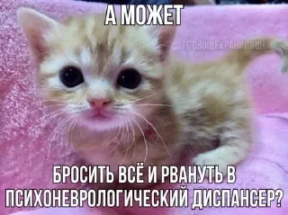 🌟 emoji куку Telegram sticker 17 of 108