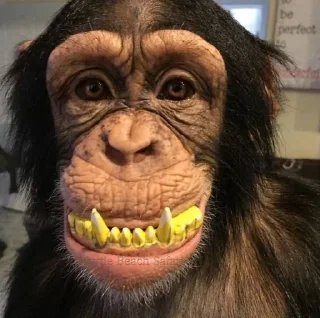 Sticker from Амикрон легенда чота
