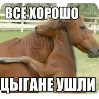 Sticker from Бумбая