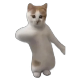 Sticker from CAT DANCE DANCE DANCE