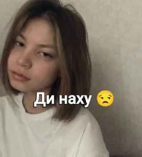 Sticker from Шухуа топ @Ctikerubot