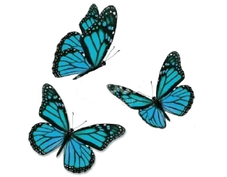 🦋 emoji @gifsandimages cute — @stckrRobot Telegram sticker 10 of 120