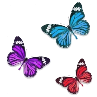 🦋 emoji @gifsandimages cute — @stckrRobot Telegram sticker 13 of 120