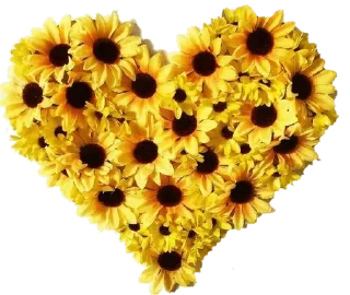 🌻 emoji @gifsandimages cute — @stckrRobot Telegram sticker 12 of 120