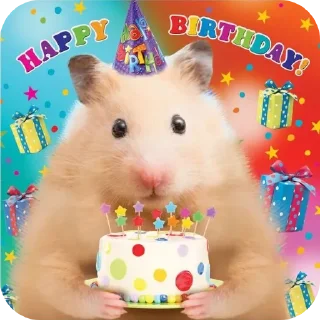 🐹 emoji Чат хамстеркоин для сигм Telegram sticker 19 of 42
