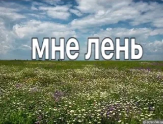 жиз пички sticker 2