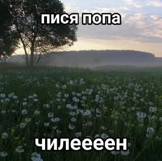 жиз пички sticker 4