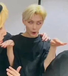 🕊️ emoji k-pop мемы Telegram sticker 1 of 75