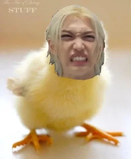 🐤 emoji k-pop мемы Telegram sticker 13 of 75