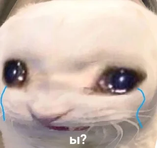 🤩 emoji мамин клуб @MoiStikiBot Telegram sticker 14 of 30