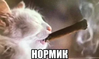 холи моли😟 sticker 3
