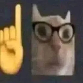 холи моли😟 sticker 2