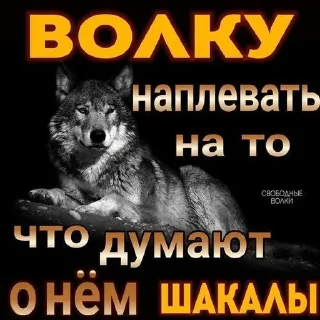 🌟 emoji Личная собственность бобра Telegram sticker 16 of 33