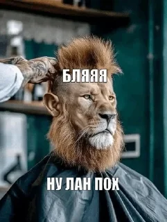 🌟 emoji Личная собственность бобра Telegram sticker 14 of 33