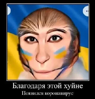 🌟 emoji Джокер ДНР у меня в подъезде pack by @QuotLyBot Telegram sticker 17 of 120