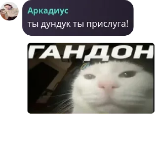 👩‍🦲 emoji Джокер ДНР у меня в подъезде pack by @QuotLyBot Telegram sticker 12 of 120