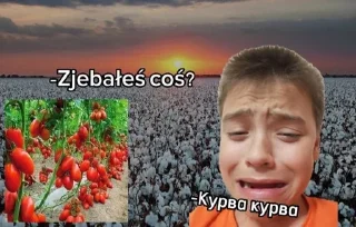 Sticker from Где я нахуй