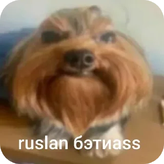 👍 emoji мафия чат стикеры подвал футикс и никс фф еее Telegram sticker 13 of 30