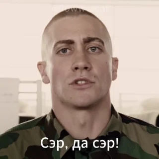 Sticker from Сэр,да,сэр @emojipipka @emojis4
