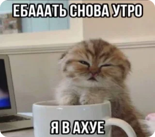 Sticker from А вот да - пизд@