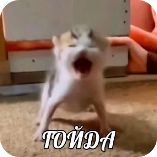 Sticker from А вот да - пизд@