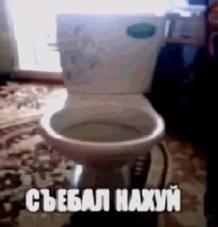 Sticker from На все случаи жизни