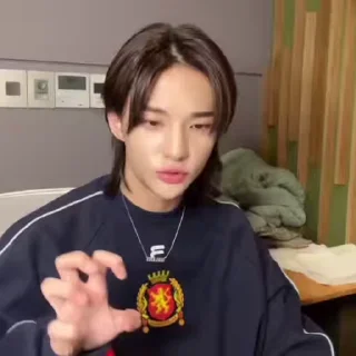 Sticker from ⌗hyunjin fr stray kids @archlwood