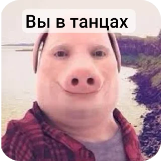 Sticker from Завали ебало