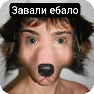 Sticker from Завали ебало