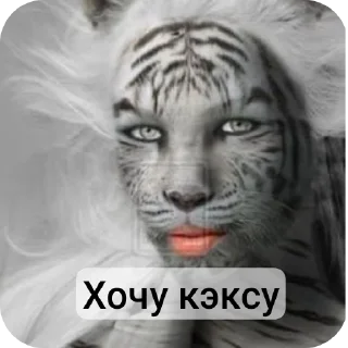 Sticker from Завали ебало
