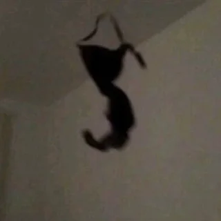 на все случаи жизни sticker 3
