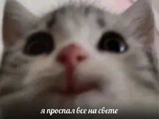 Sticker from для разговоров хихи