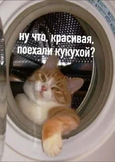 Sticker from для разговоров хихи