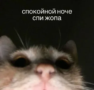 Sticker from Арабик