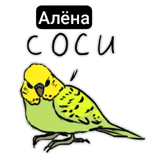 🍭 emoji Vova Myhin Gan down? Сэр да сэр Telegram sticker 24 of 118