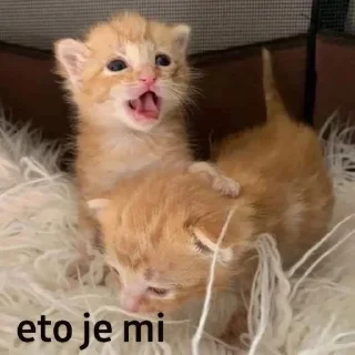 Sticker from да завали свой ебасос ебаный