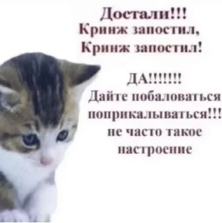 Sticker from соль