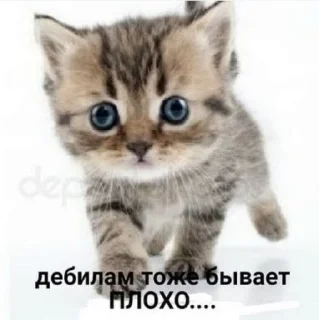 🌟 emoji соль Telegram sticker 19 of 33