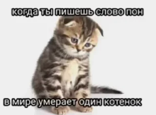 🌟 emoji соль Telegram sticker 10 of 33