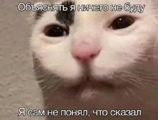 🤩 emoji жмых | @malina_mr Telegram sticker 17 of 79
